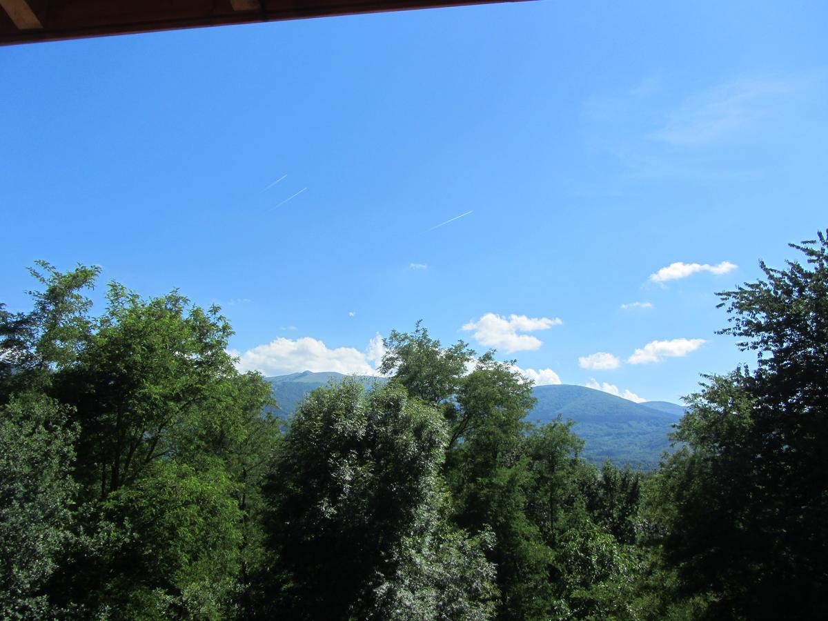 Les Cimes - Le Gite Saint-Pierre-de-Rivière Екстериор снимка